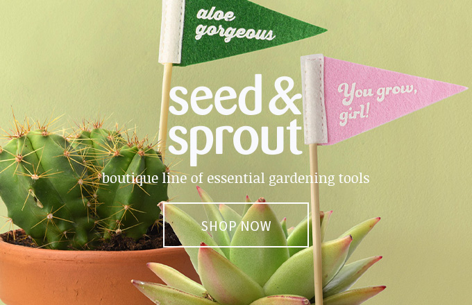 Seed & Sprout